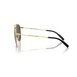Dolce&Gabbana 2296 02/87 Güneş Gözlüğü