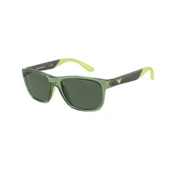 Emporio Armani Ek4002 535971 Güneş Gözlüğü