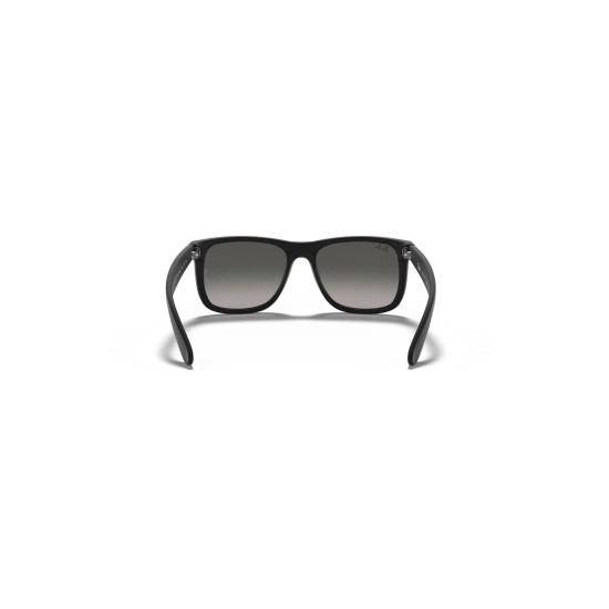 RAY- BAN Erkek Güneş Gözlüğü ORB4165 601/8G 55-18