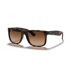 Rayban Erkek Güneş Gözlüğü Rb 4165 710 13 55 
