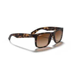 Rayban Erkek Güneş Gözlüğü Rb 4165 710 13 55 