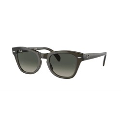 Rayban Unisex Güneş Gözlüğü RB 0707S 664271 53