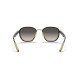 Rayban Unisex Güneş Gözlüğü Ferrari Serisi Rb 3674m F03011 51 
