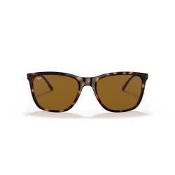 RAY-BAN Unisex Güneş Gözlüğü 4344 710/33 56 