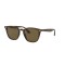 Ray-ban Unisex Güneş Gözlüğü Rb4258 710/73 50-20 3n